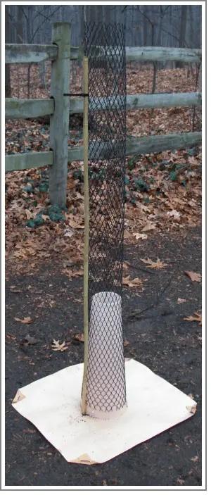 treesentry with mesh and mat